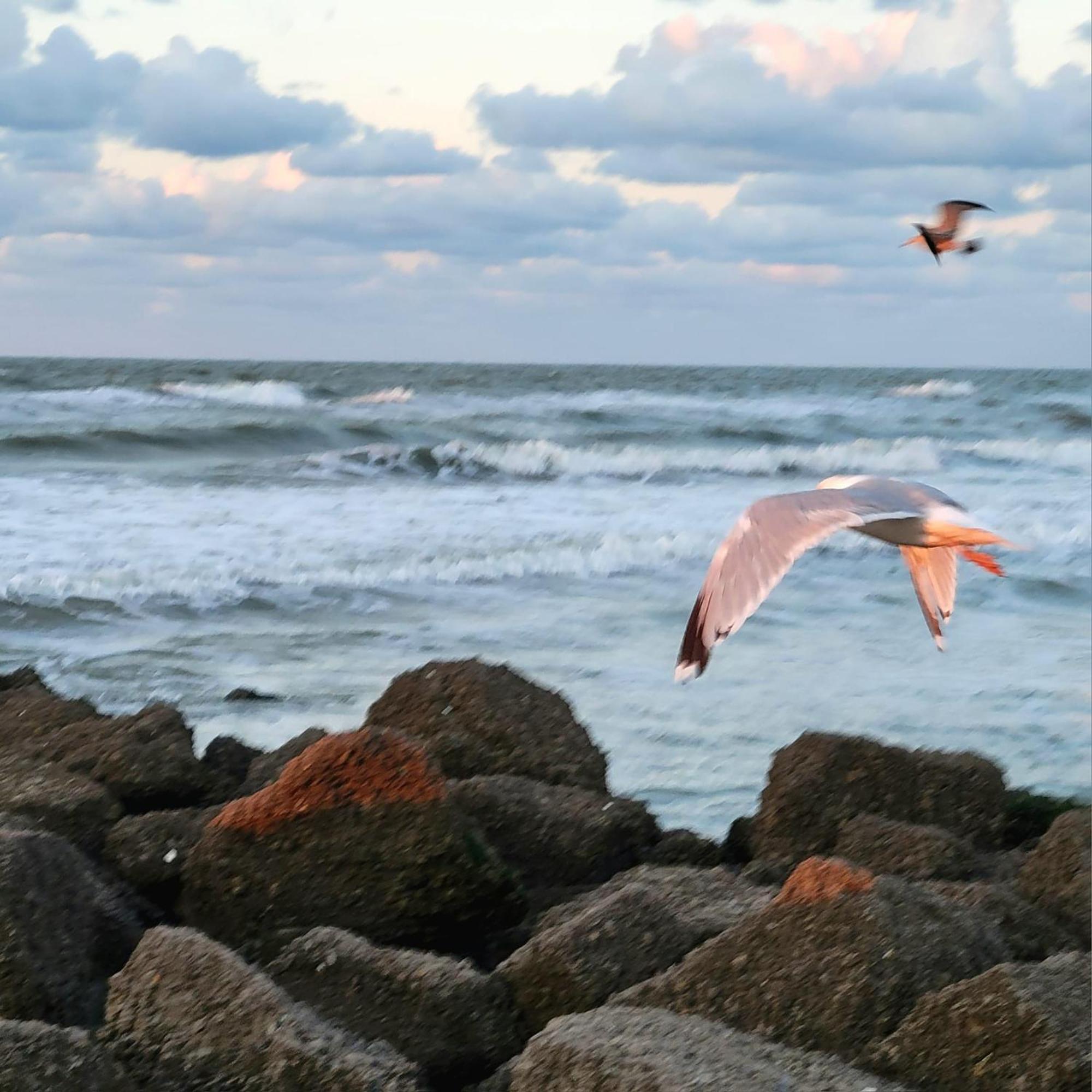 מידלקרק Caravan Aan Zee Arnani מראה חיצוני תמונה